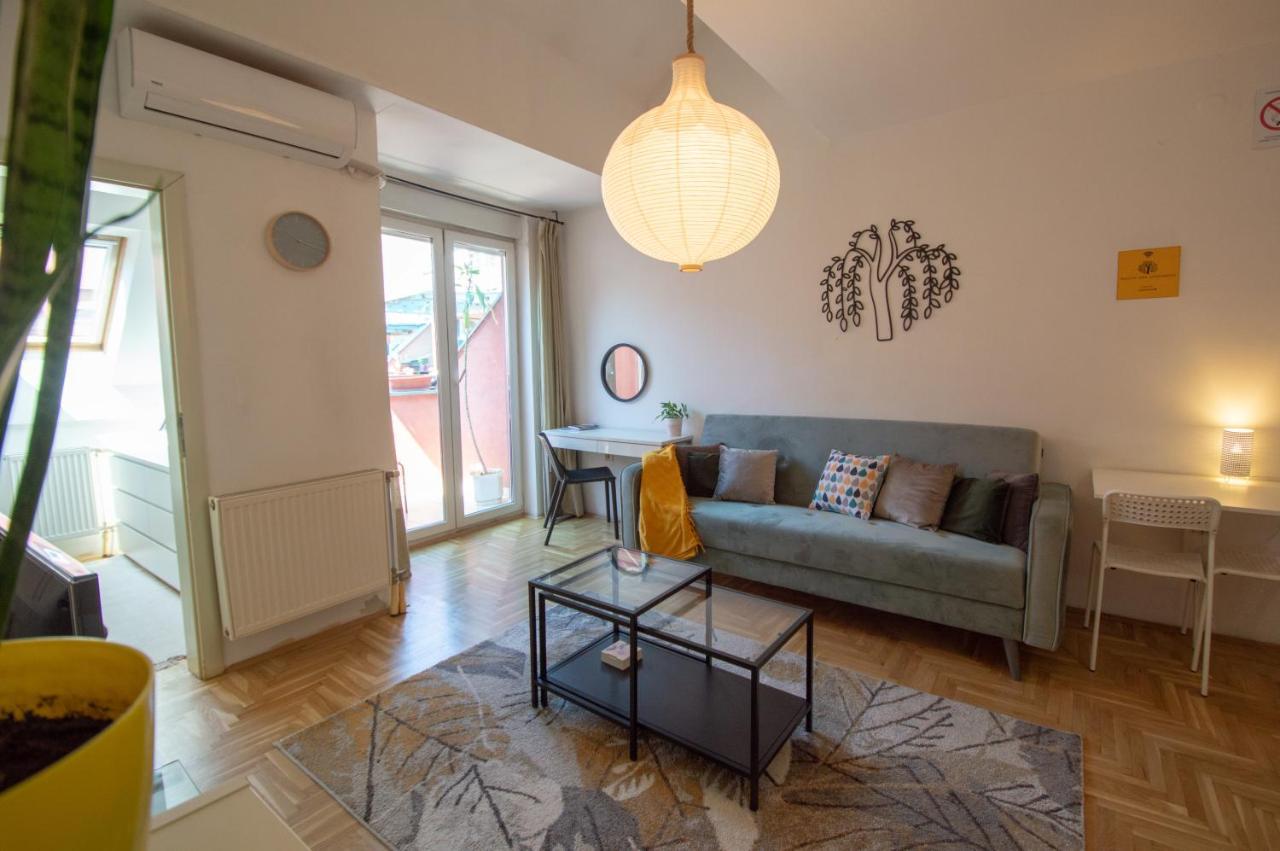 Spacious 1-Bedroom Apartment Нови Сад Екстериор снимка